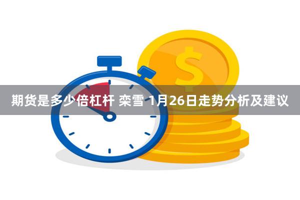 期货是多少倍杠杆 栾雪 1月26日走势分析及建议