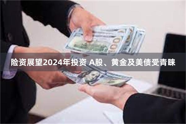 险资展望2024年投资 A股、黄金及美债受青睐