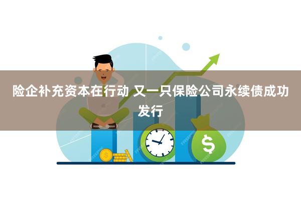 险企补充资本在行动 又一只保险公司永续债成功发行