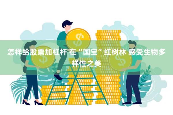 怎样给股票加杠杆 在“国宝”红树林 感受生物多样性之美