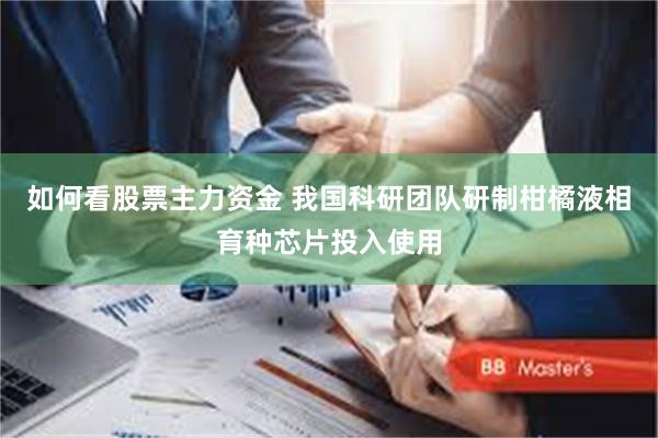 如何看股票主力资金 我国科研团队研制柑橘液相育种芯片投入使用