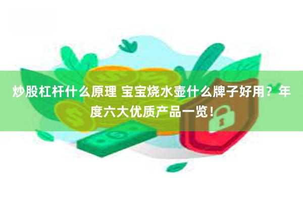 炒股杠杆什么原理 宝宝烧水壶什么牌子好用？年度六大优质产品一览！
