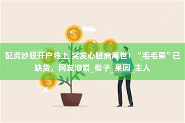 配资炒股开户线上 突发心脏病离世！“毛毛果”已缺货，网友泪崩_橙子_果园_主人