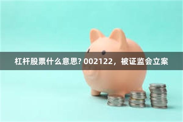 杠杆股票什么意思? 002122，被证监会立案