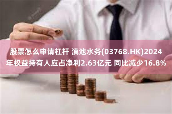 股票怎么申请杠杆 滇池水务(03768.HK)2024年权益持有人应占净利2.63亿元 同比减少16.8%