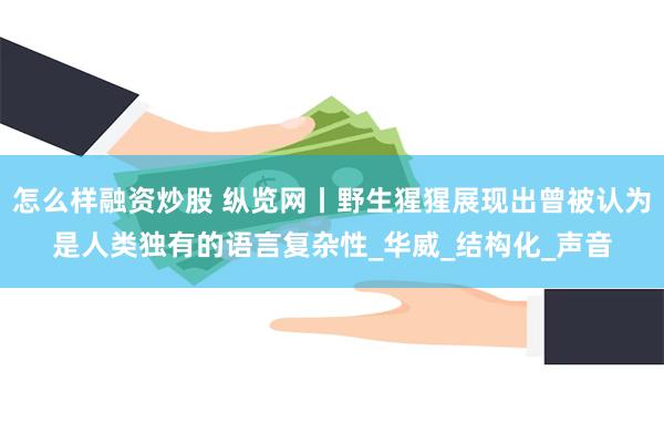 怎么样融资炒股 纵览网丨野生猩猩展现出曾被认为是人类独有的语言复杂性_华威_结构化_声音