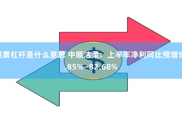 股票杠杆是什么意思 中顺洁柔：上半年净利同比预增59.85%—82.68%