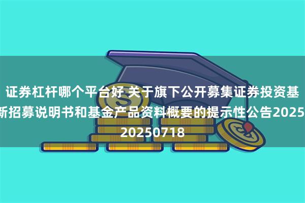 证券杠杆哪个平台好 关于旗下公开募集证券投资基金更新招募说明书和基金产品资料概要的提示性公告20250718