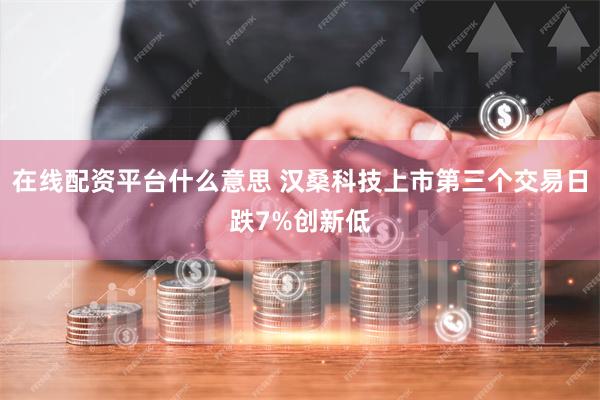 在线配资平台什么意思 汉桑科技上市第三个交易日跌7%创新低