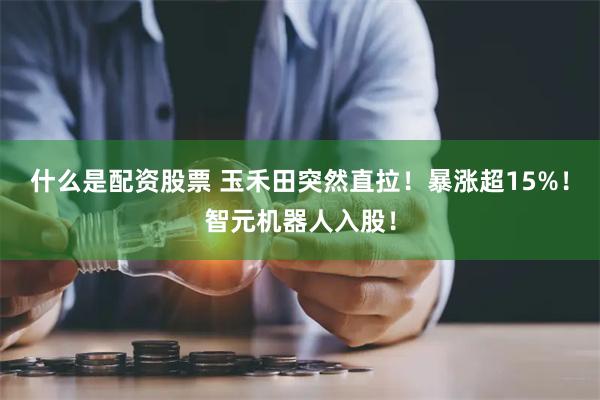 什么是配资股票 玉禾田突然直拉！暴涨超15%！智元机器人入股！