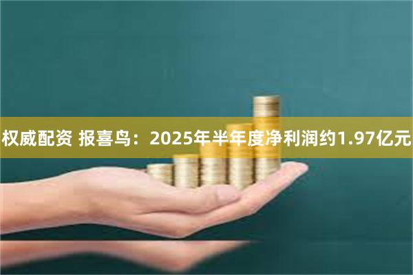 权威配资 报喜鸟：2025年半年度净利润约1.97亿元