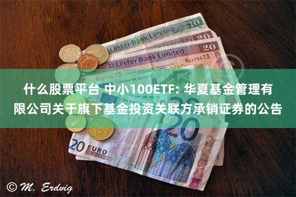 什么股票平台 中小100ETF: 华夏基金管理有限公司关于旗下基金投资关联方承销证券的公告